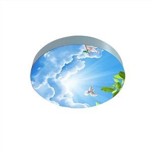 Dropped Ceiling Light Box
